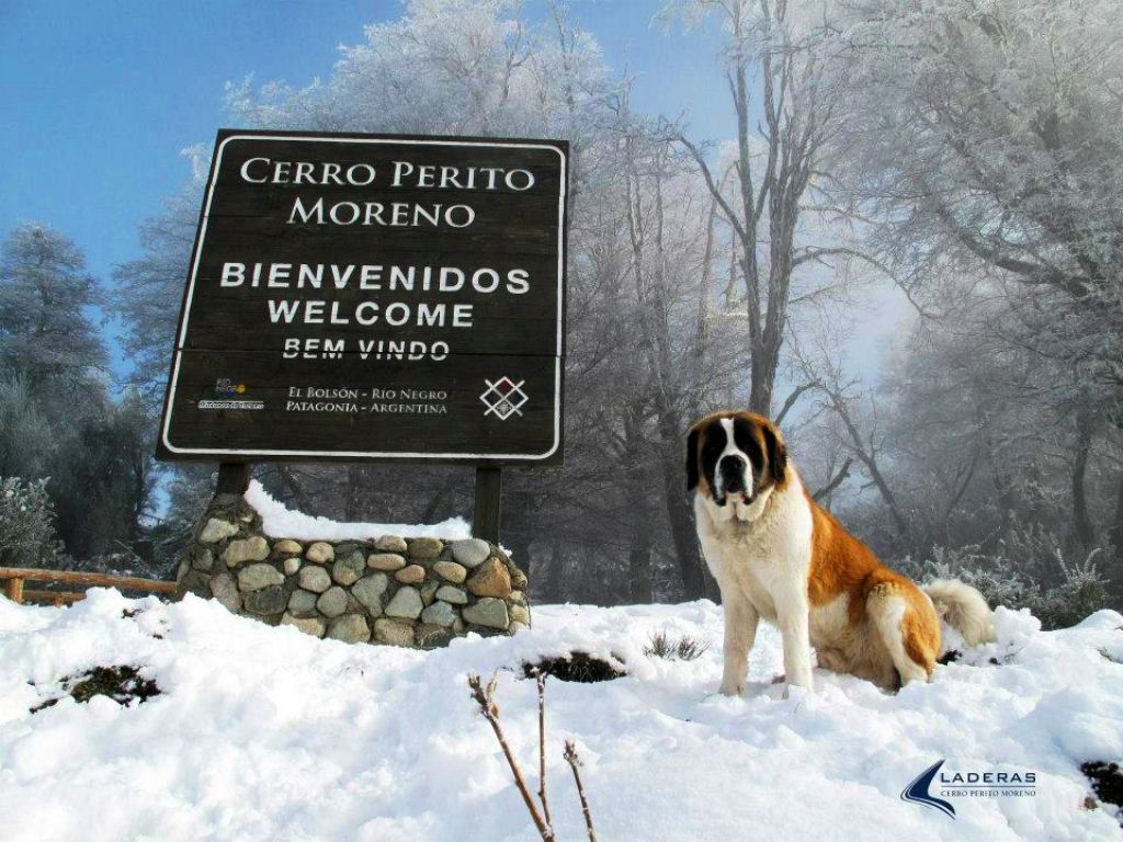 Cerro Perito Moreno despide la temporada