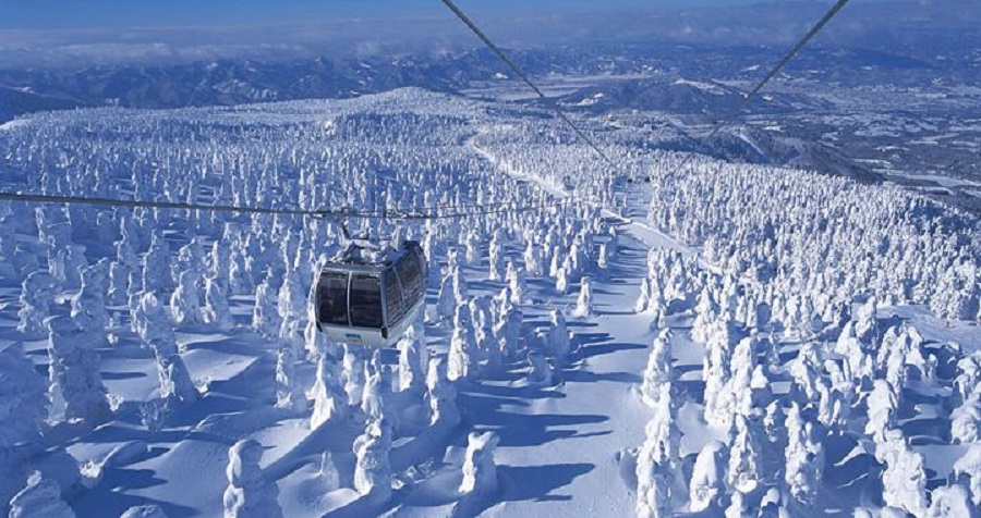 Algunos consejos para esquiar en Japón y no morir en el intento