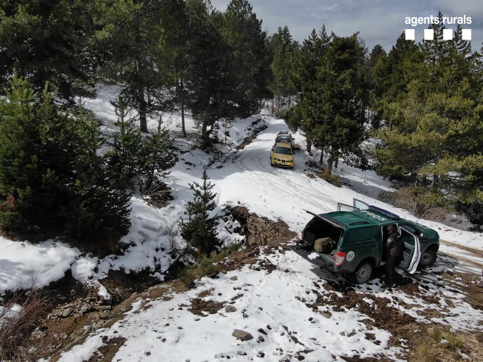 Los agentes rurales denuncian unos esquiadores de montaña cerca de puigcerdà