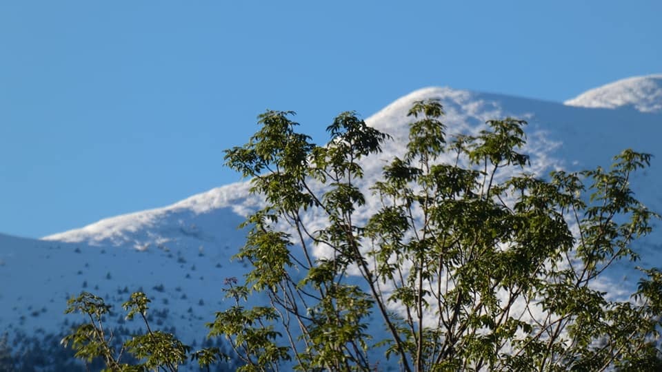 Los Pirineos y los Alpes amanecen blancos, con nevadas en muchas zonas de hasta 10 centímetros