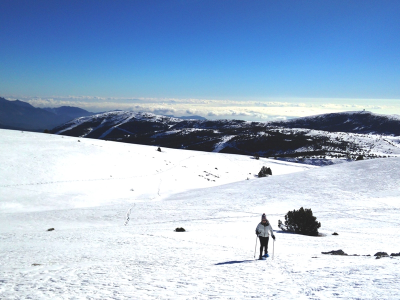 Practicando raquetas de nieve en las inmediaciones de Port del Comte. Fuente: Lugares de Nieve