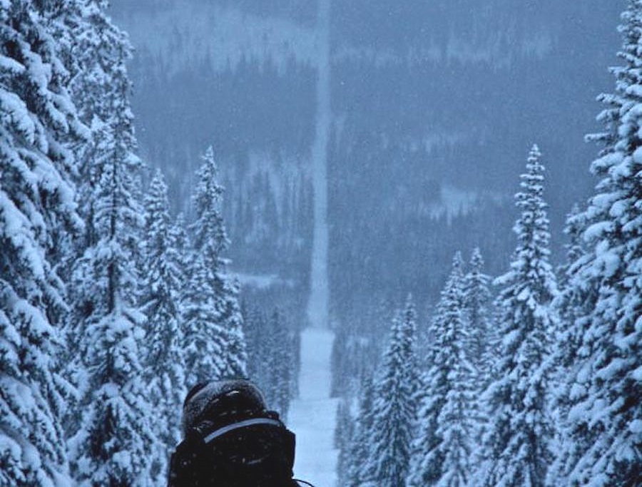 Un noruego intenta evitar la cuarentena esquiando 40 km desde Suecia