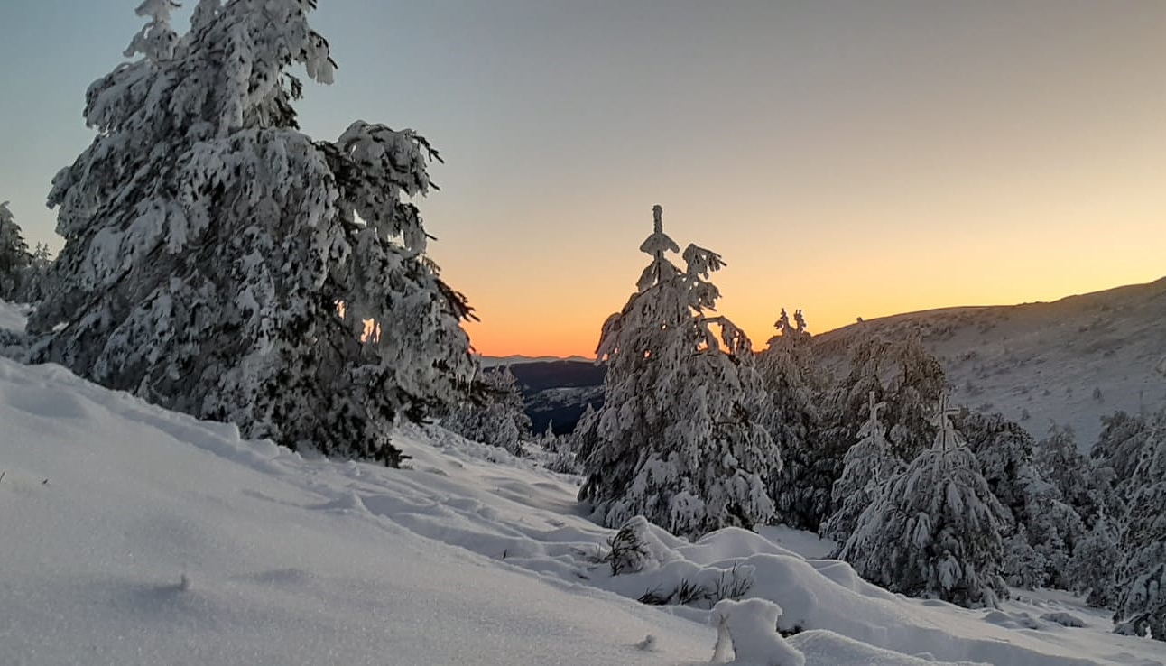 Regalo de Reyes en la sierra de Guadarrama