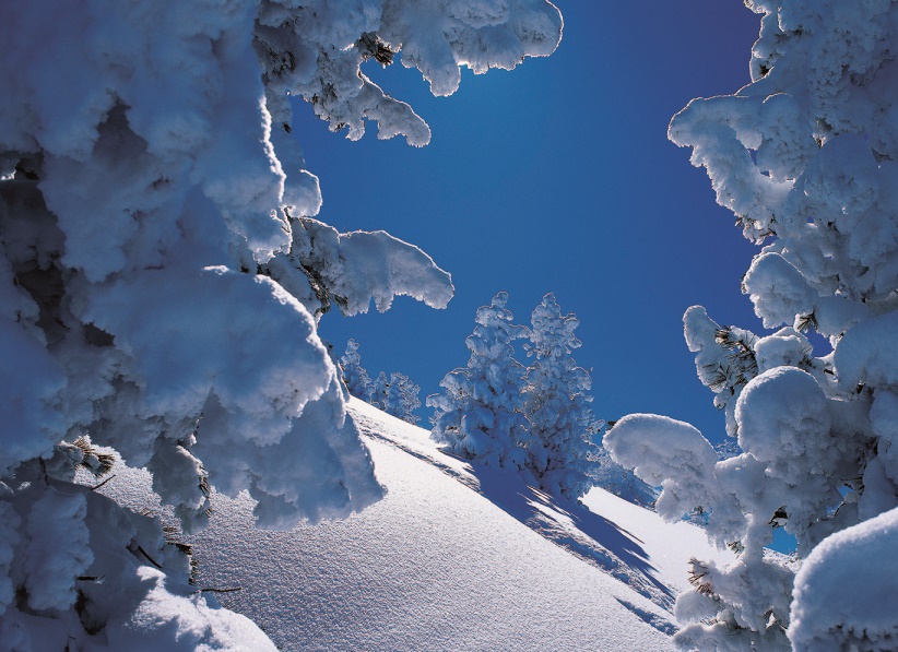 Austria, un magnífico destino de nieve que desearás no haber conocido
