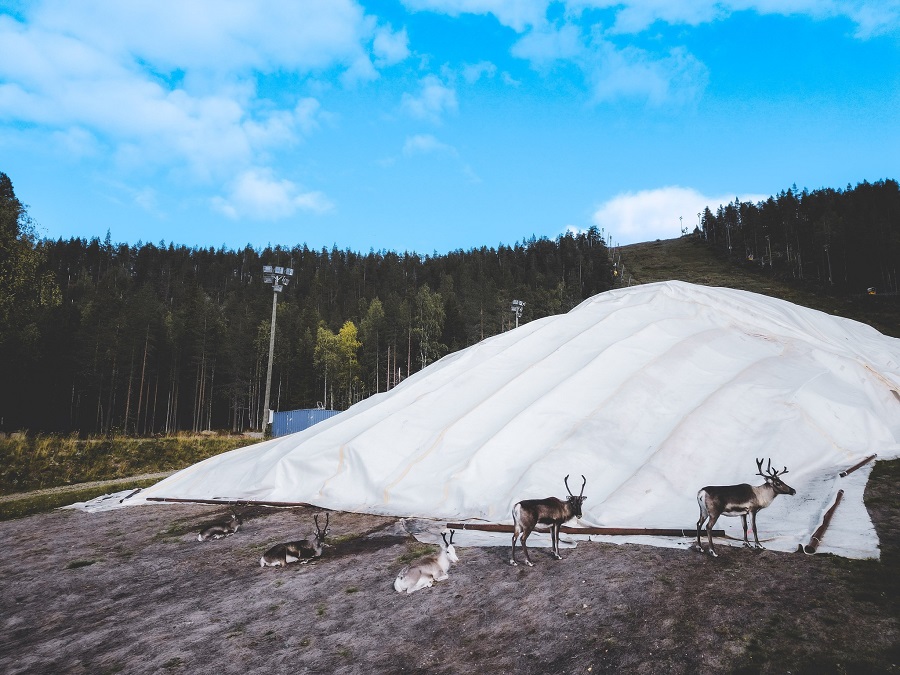 Las estaciones de esquí de Finlandia abrirán antes y con récord de nieve gracias al “snow farming”