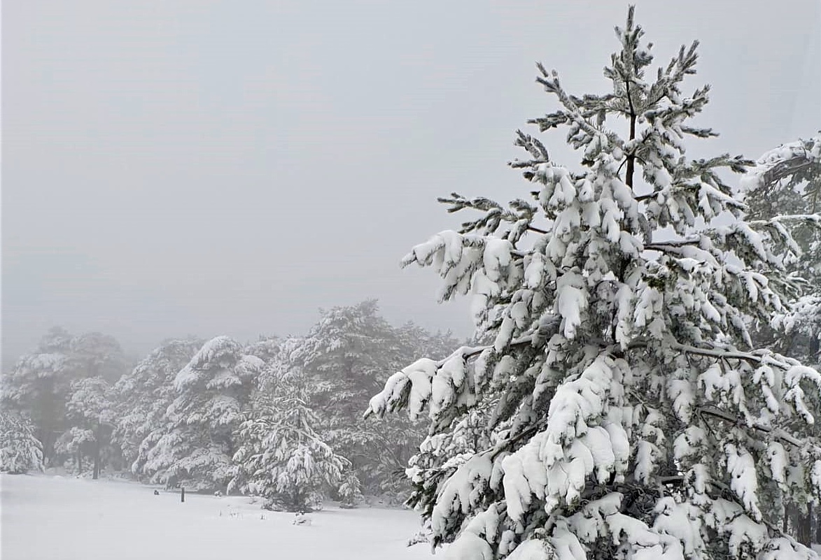 Las nevadas permiten inaugurar temporada a la estación de nórdico de La Muela
