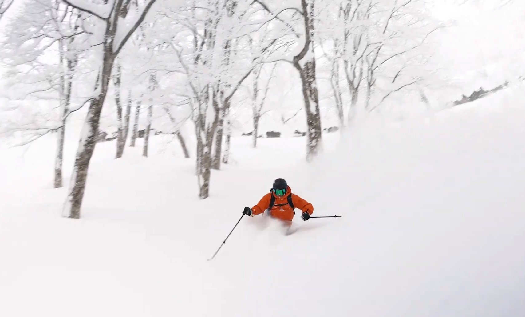 "Mori", la auténtica esencia del esquí 'powder' entre árboles en Japón