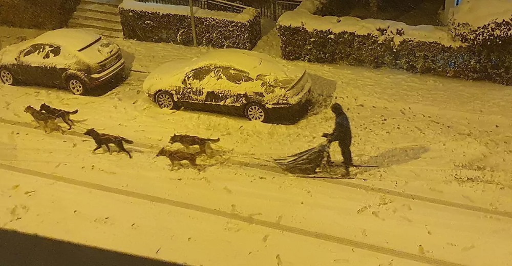 Sorprendente paseo de un musher con su trineo y sus perros por las calles nevadas de Madrid