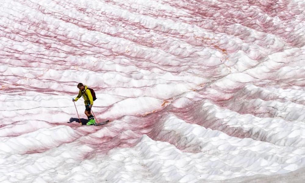 Algunas montañas del Yosemite aparecen cubiertas de “nieve rosa”
