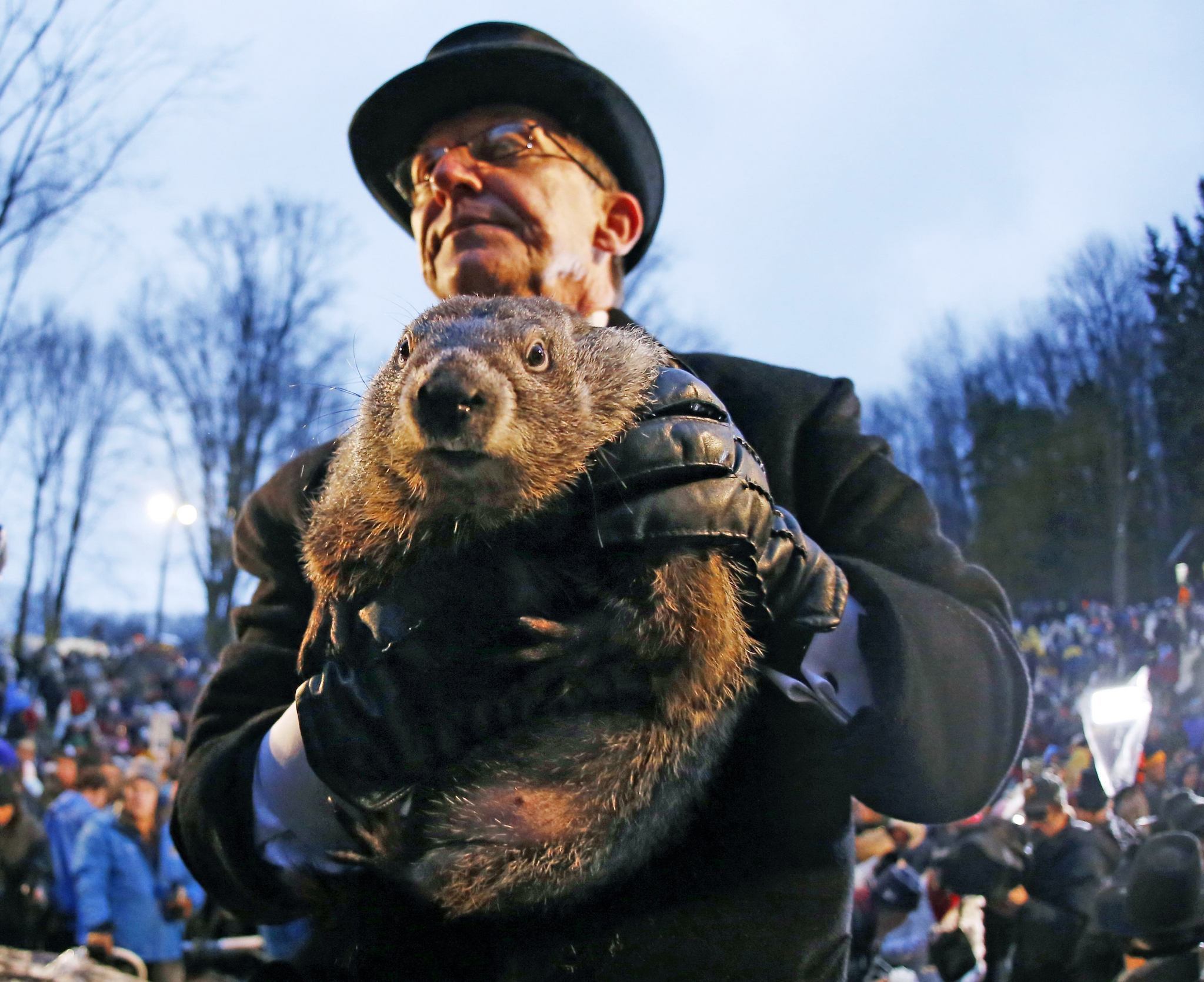 Día de la Marmota Phil en Pensilvania: ¿estará cerca el final del invierno?