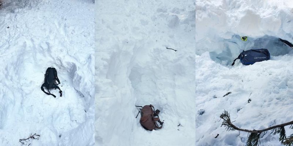 Qué hacer en una avalancha: La sociedad de la nieve viralizó esta  búsqueda en Estados Unidos – Revista Para Ti