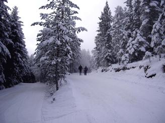 La estación de esquí nórdico de Sant Joan de l'Erm abrirá este sábado
