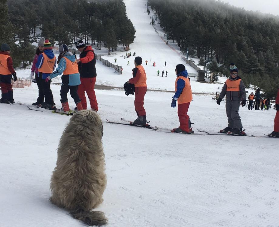 La modernización de la estación de esquí Punto de Nieve Santa Inés en punto muerto
