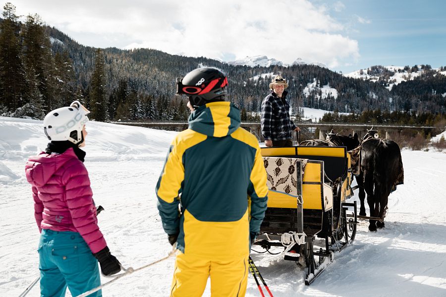 El único remonte de esquí tirado por caballos que existe en Europa está en las Dolomitas