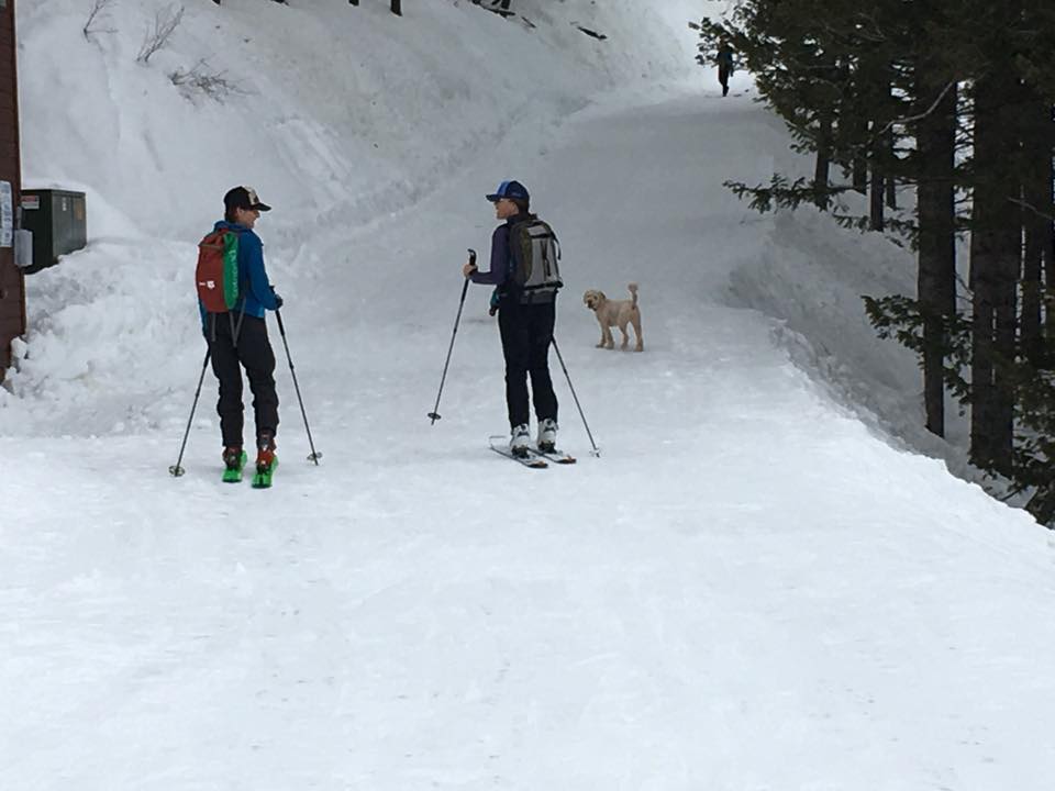 Una estación de esquí de EE.UU. sigue pisando sus pistas todos los días para los skimos