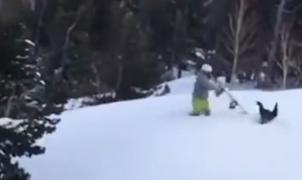 Encendida pelea entre un urogallo y un snowboarder se hace viral en las redes sociales