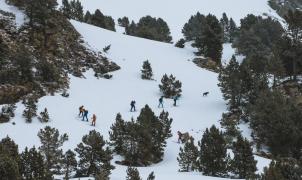 Grandvalira Skimo Camp by GORE-TEX: Formación para practicar el esquí de montaña 