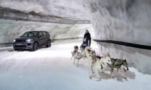 ¿Un SUV contra un trineo con perros? Esta singular competición se ha disputado en Finlandia