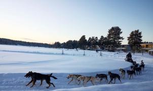 Mientras los trineos con perros se quedan sin clientes, aumenta el esquí en las estaciones de Finlandia