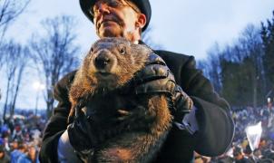 Día de la Marmota Phil en Pensilvania: ¿estará cerca el final del invierno?