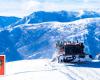El CEO de Netflix compra la estación de esquí de Powder Mountain por 100 millones de dólares