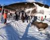 Un vídeo muestra un alce que esquiva por los pelos a varios esquiadores en Suecia