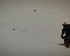 Buscan a un esquiador de montaña sepultado por un alud en Candanchú