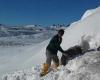 Las grandes nevadas en Chubut (Argentina) "entierran" bajo la nieve a decenas de animales