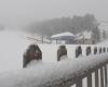 Está nevando en Port del Comte y no descartan abrir el 30 de noviembre