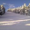 Estación de esquí nórdico de Tuixent-la Vansa