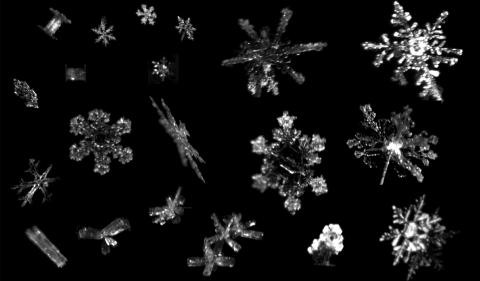 copos de nieve de diferentes formas