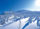 Paisaje nevado en Furano