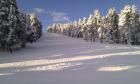 Estación de esquí nórdico de Tuixent-la Vansa