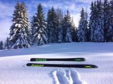 Nuevos esquís Hagan para esta temporada