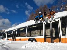 Yukihanta (cazadores de powder) en Hokkaido, Japón