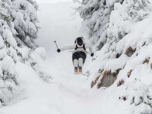 H&M lanza su colección de Ropa para los deportes de nieve -  La  web de la Nieve desde 1.997