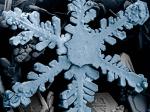 10 detalles que deberías saber sobre la nieve. Copo de nieve bajo el microscopio