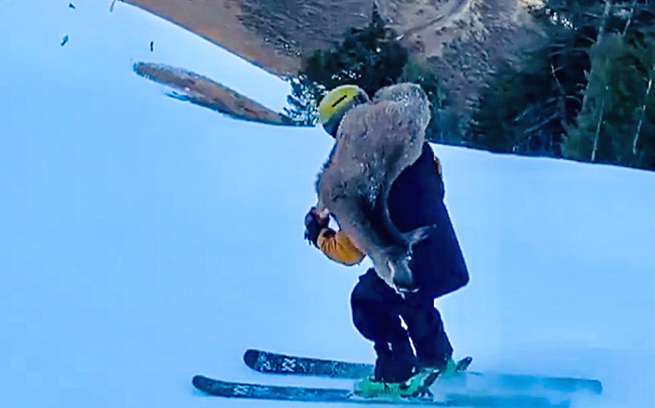 Un esquiador choca accidentalmente con un ciervo en Sun Valley y se lo lleva a hombros