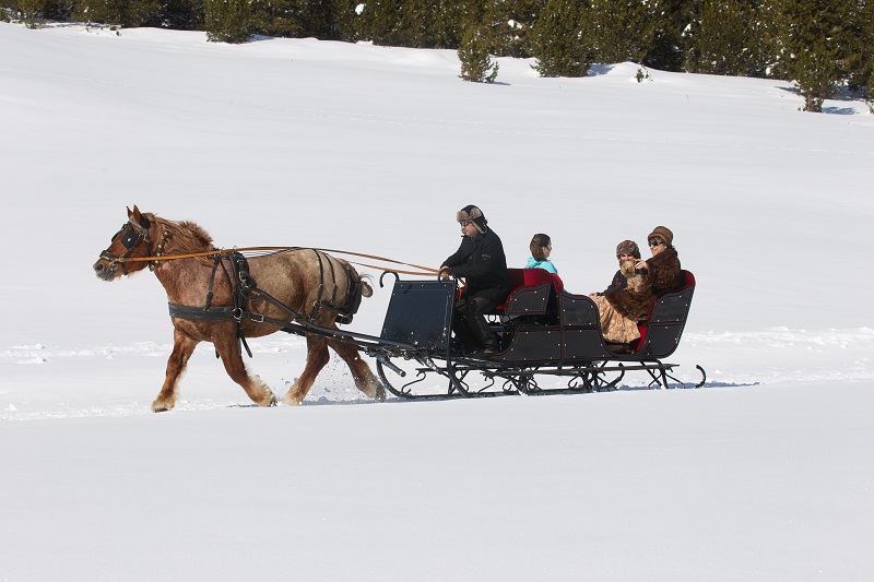 Trineos de Nieve para Niños en el Valle de Arán - AranMap