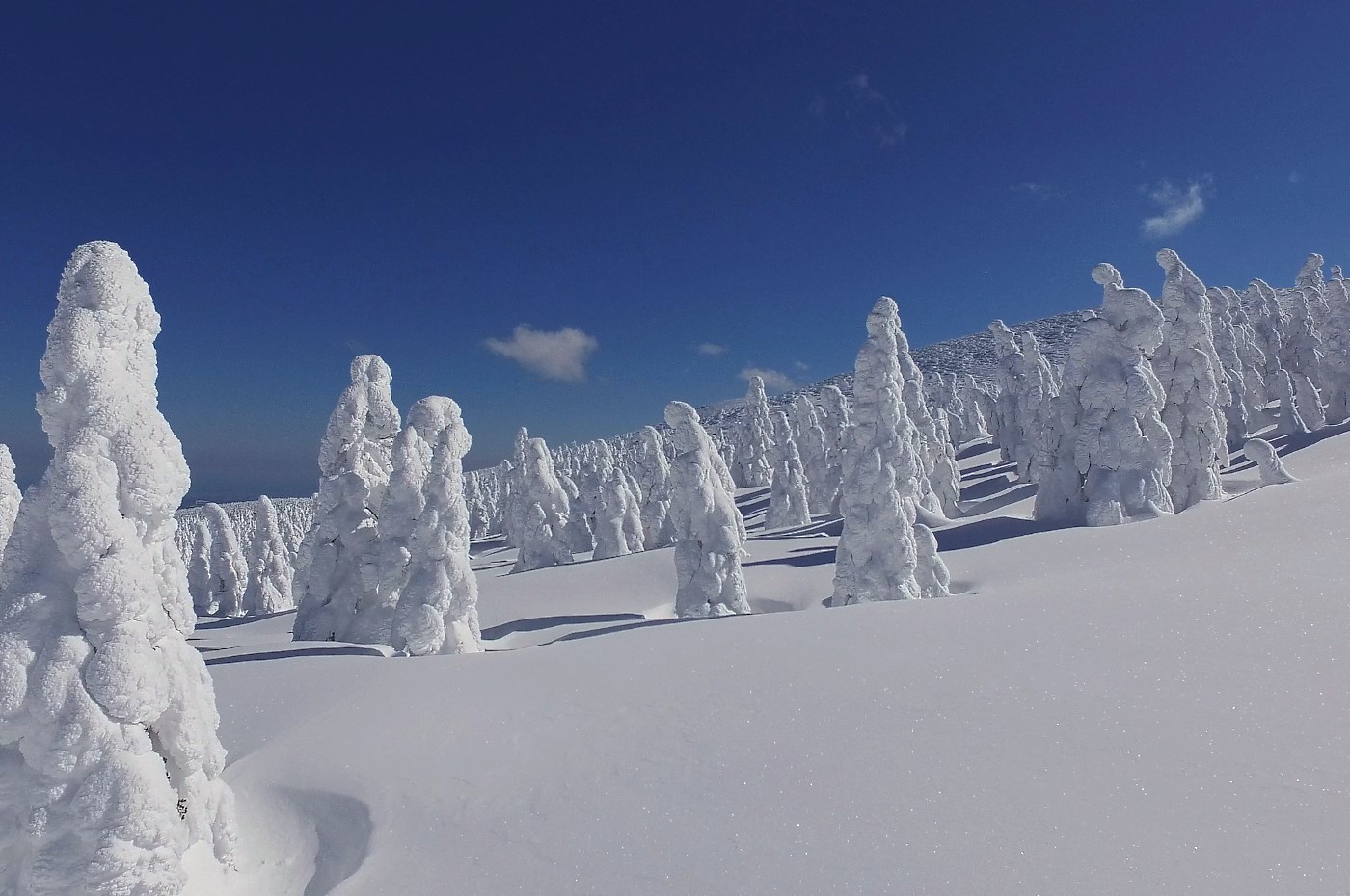 Japón, el país donde nieva más del mundo. ¿Por qué?